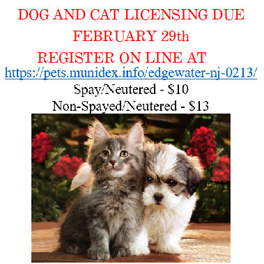 Edgewater Dog and Cat 2024