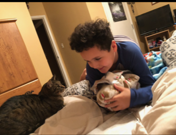 Photo contest- avery