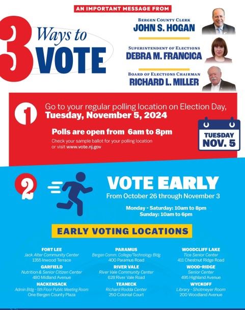 3 ways to vote